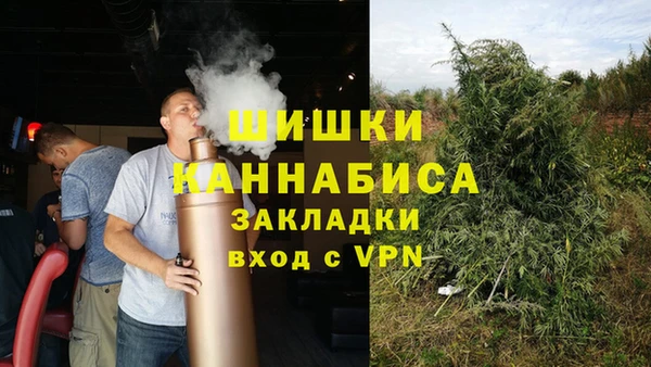 крисы Аркадак