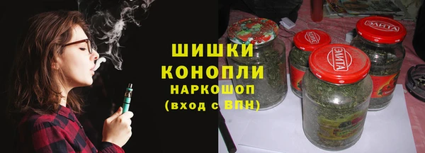 индика Богданович