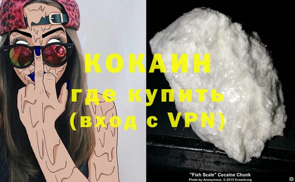 крисы Аркадак