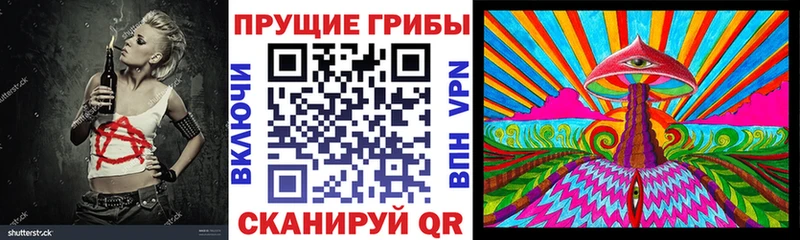 Псилоцибиновые грибы Cubensis Гвардейск